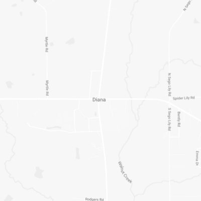 Service Area Maps - Diana, TX